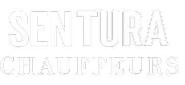Our precious logo and branding